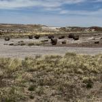 2023OTRA_730 (May 07, 2023)